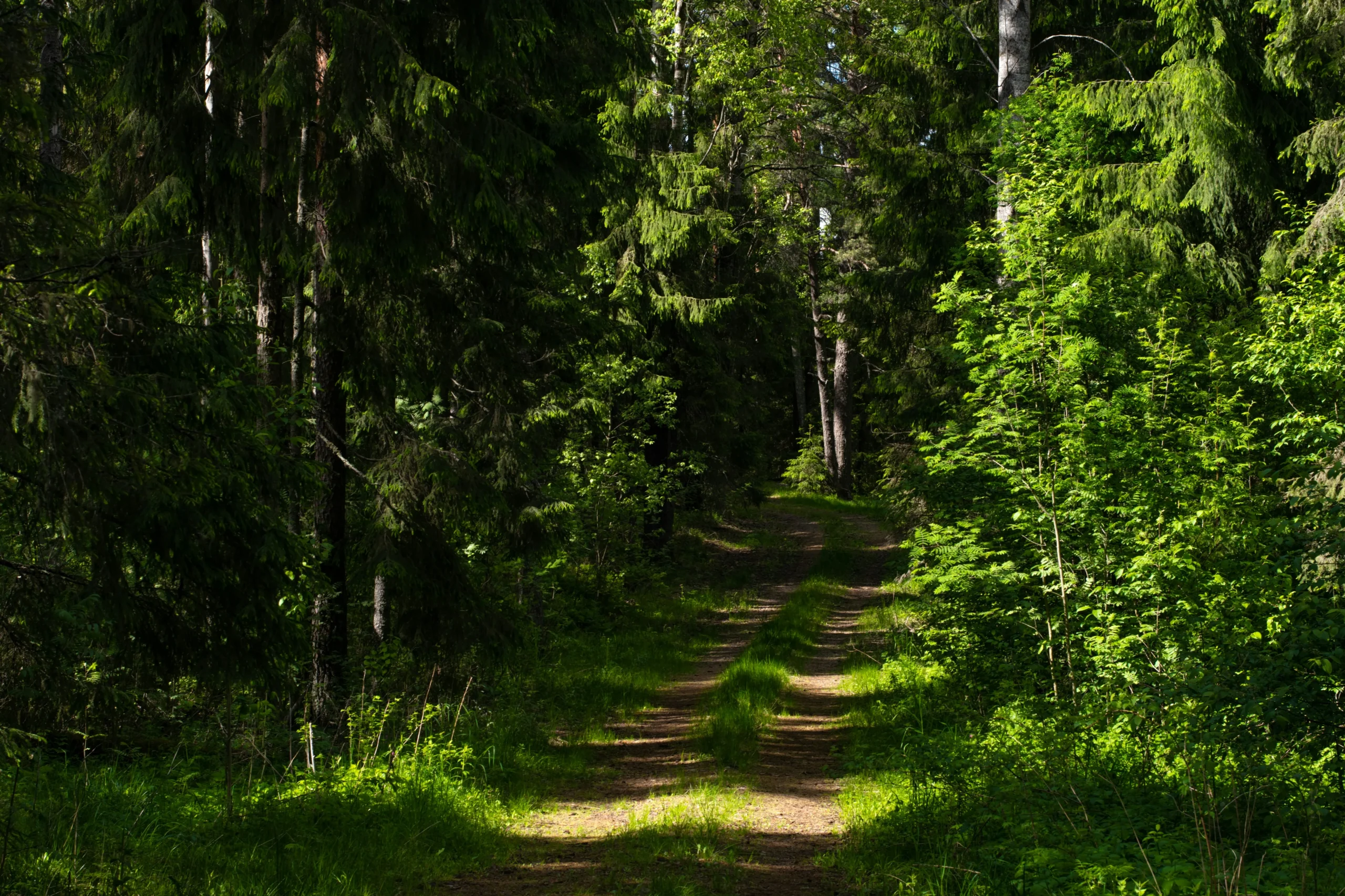 Ha végre itt a nyár… avagy 5 tipp a feltöltődéshez