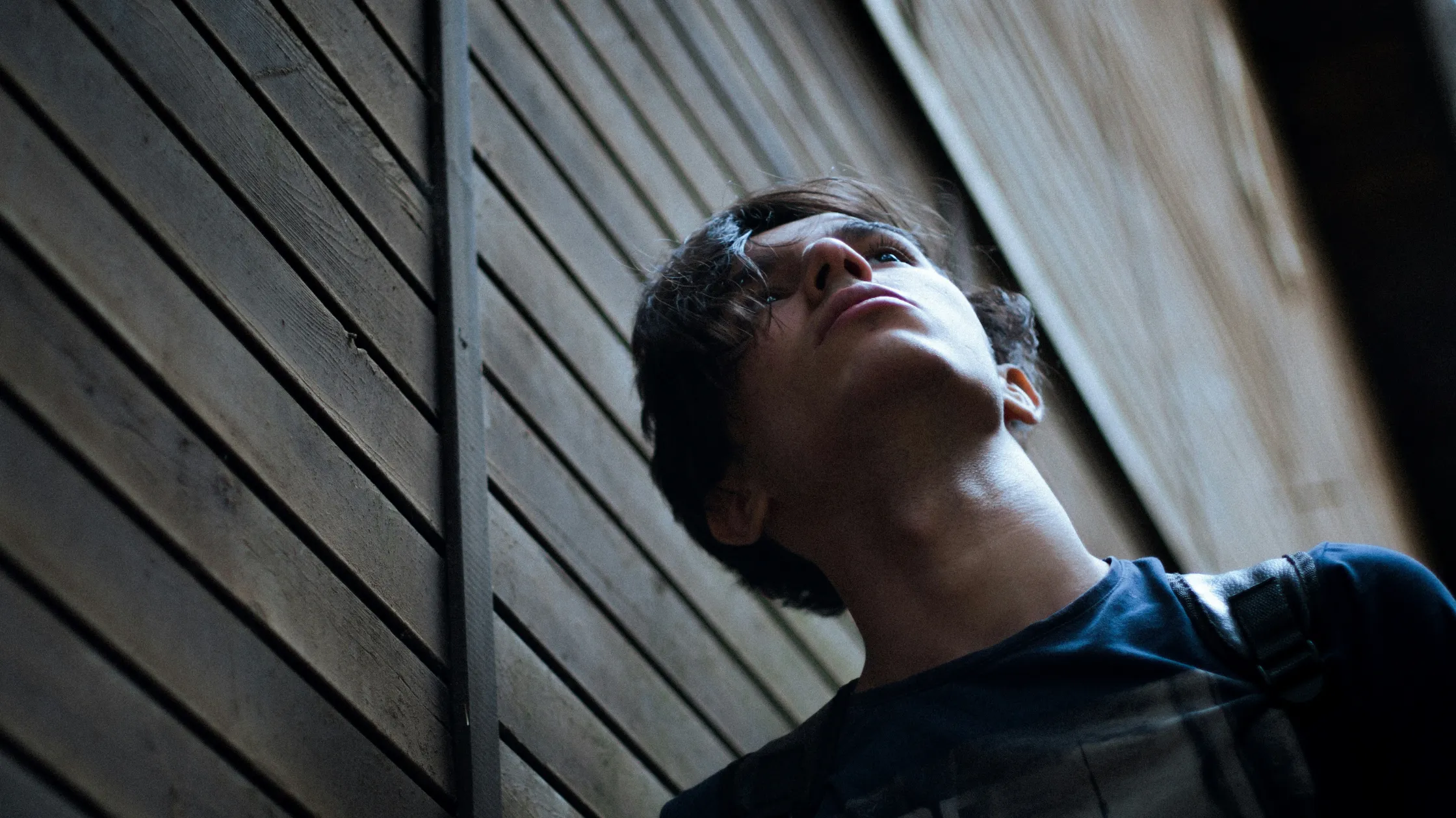 A megfelelési kényszer formái